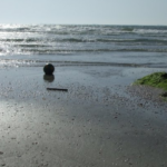 Image count=Image 4_1