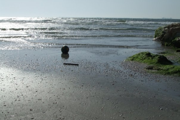 Image count=Image 4_1