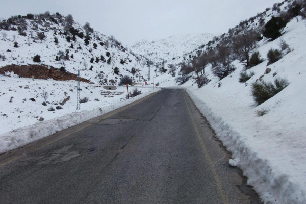 Image count=Image count6_1