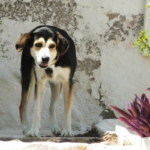 Image count=Image count7_1