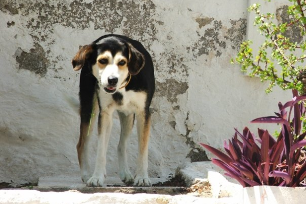 Image count=Image count7_1